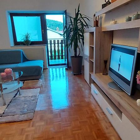 Apartma Pr' Ivani Miskorinovi Breginj Luaran gambar