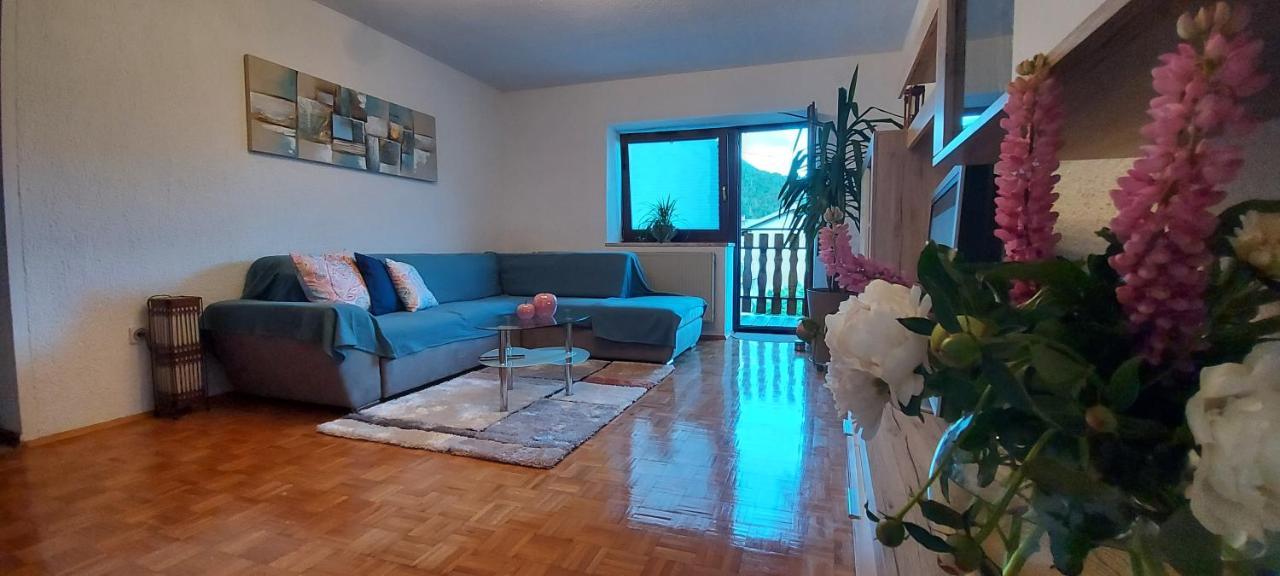 Apartma Pr' Ivani Miskorinovi Breginj Luaran gambar