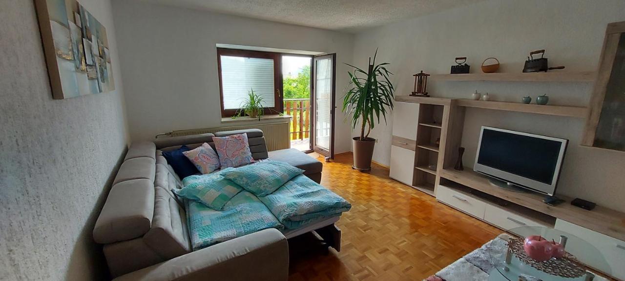 Apartma Pr' Ivani Miskorinovi Breginj Luaran gambar