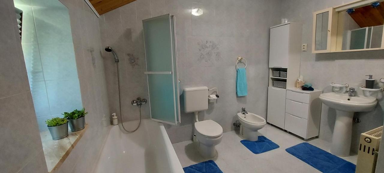 Apartma Pr' Ivani Miskorinovi Breginj Luaran gambar