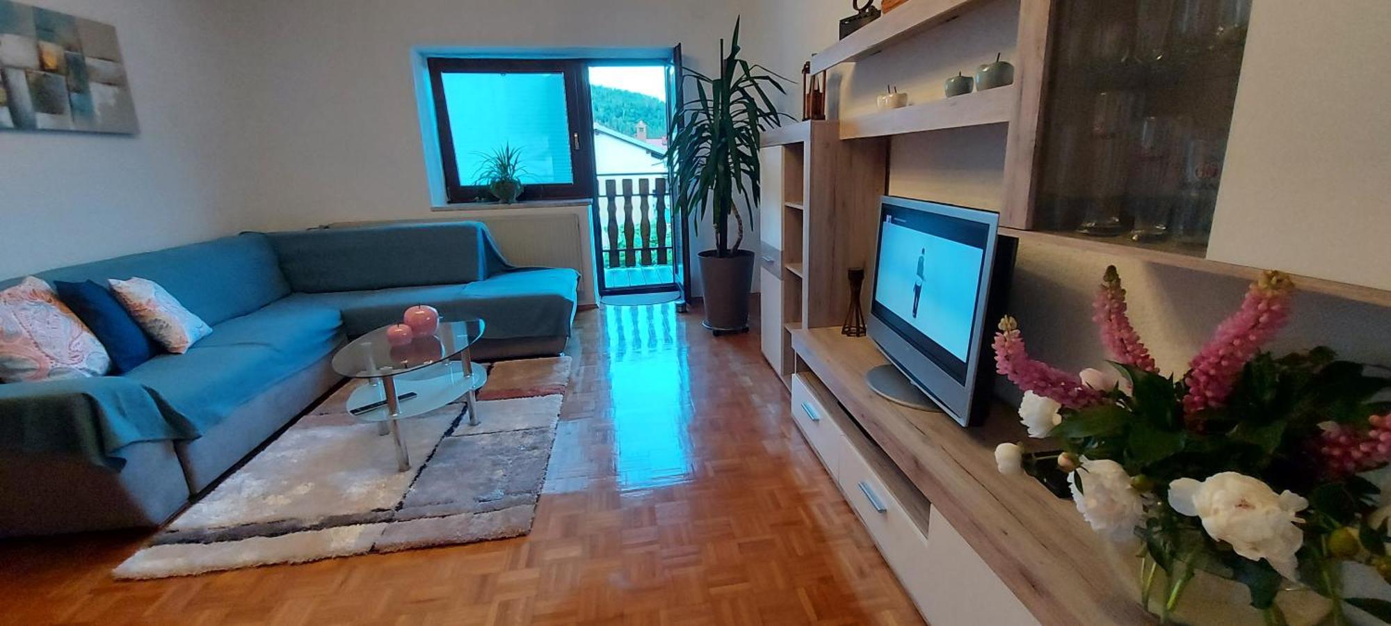 Apartma Pr' Ivani Miskorinovi Breginj Luaran gambar